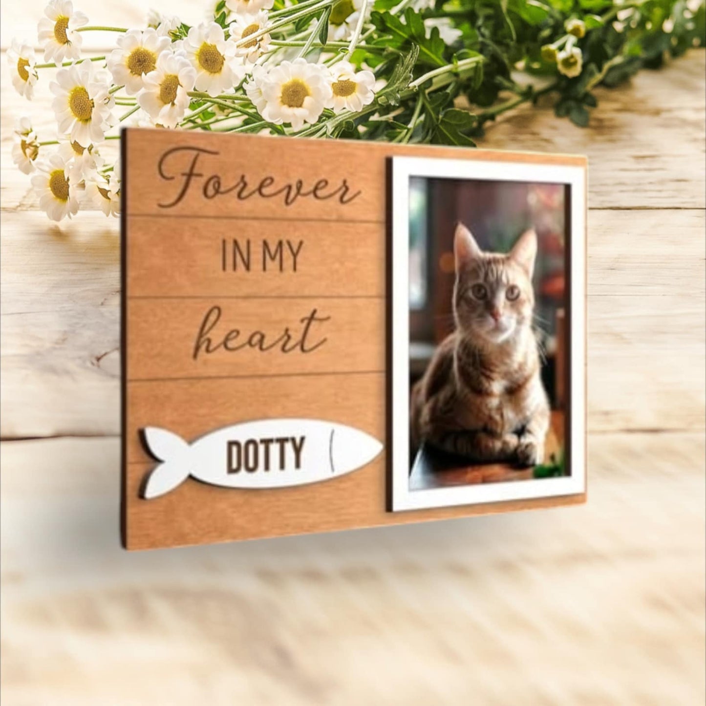 Pet frame for cat